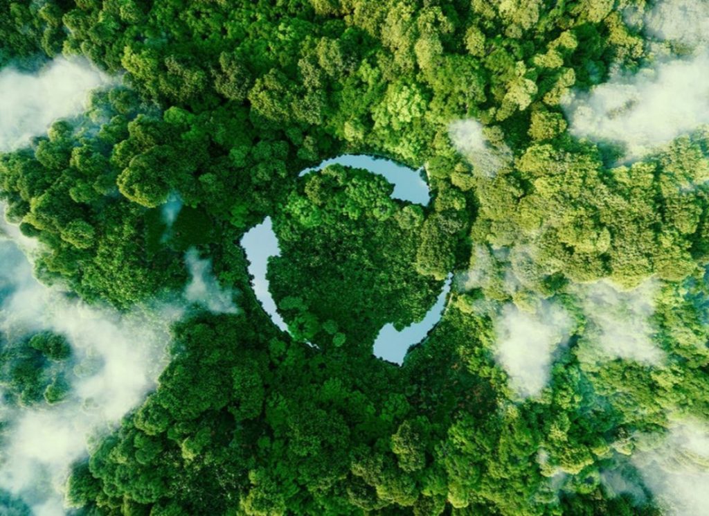 How To Embrace Sustainability With Eco