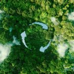 How To Embrace Sustainability With Eco